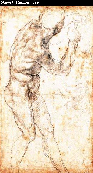 Michelangelo Buonarroti Male Nude